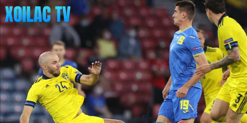 Cả fan hâm mộ lẫn giới chuyên môn bức xúc về vụ việc