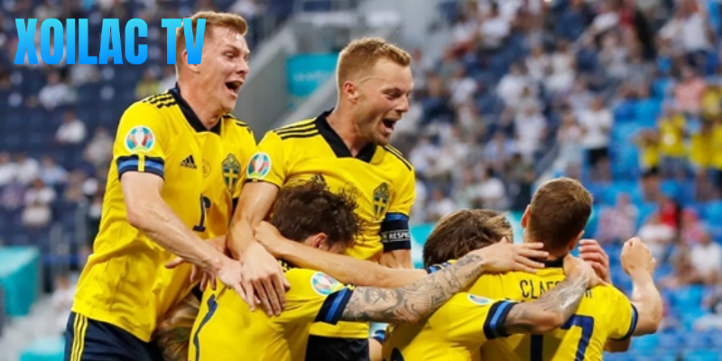 Cập nhật động thái của liên đoàn bóng đá Ukraine