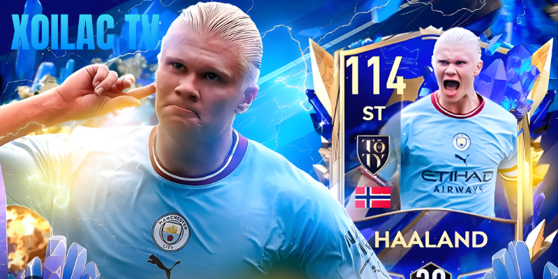 Dự đoán kết quả chung cuộc từ chuyên gia hàng đầu