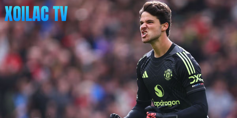 Giới chuyên môn đánh giá cao thủ môn trẻ người Bỉ