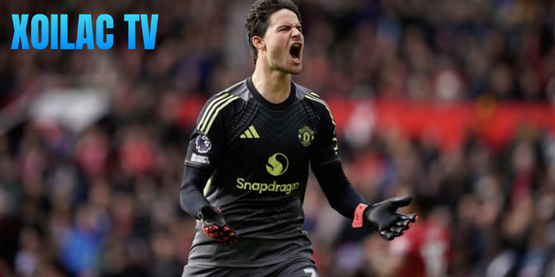 Màn trình diễn ấn tượng của Lammens trước đội tuyển Mỹ 